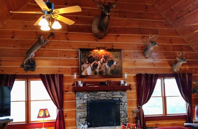 Mill Hill Farm, Luxury Farm Experience
