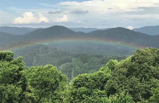 Million Dollar Vista! Smoky Mts/Blue Ridge Pkwy-Hot Tub-Jacuzzi Tub-Pet Friendly
