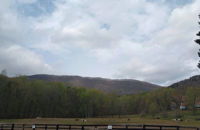 Missy's Mountain Lake Getaway