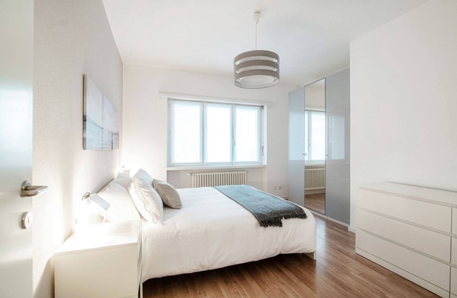 Modern Apartment close to Lido di Lugano (LIDO 1)