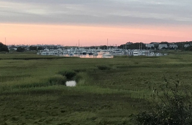 Modern Beach House with Gourmet Kitchen Overlooking Sesuit Harbor, East Dennis
