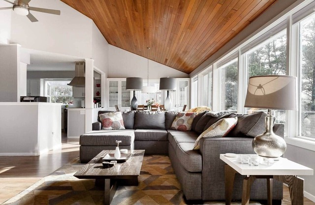 Modern Huge Deck Wood Stove Pet-Friendly