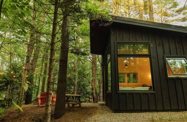 Modern, luxurious cabin in the woods - 20