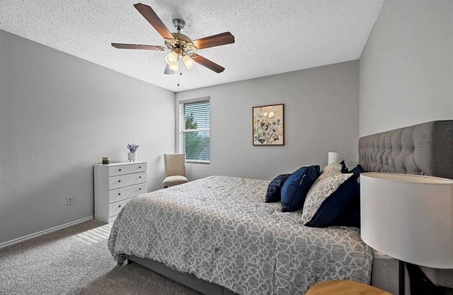 Modern Marvel: Newly Renovated Gem