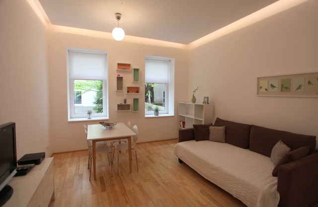 Modern, quiet apartment in an old building