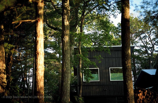Modern Studio w/Stunning Views & Treehouse Feel