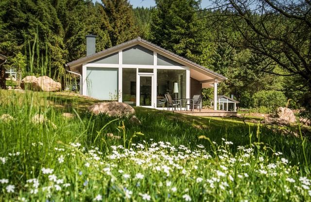 Modernes Ferienhaus mit Sauna, Kamin, Fußbodenheizung, Schwimmbad