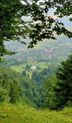 Mont Crai