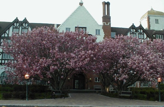 MONTAUK MANOR-DELUXE STUDIO APARTMENT