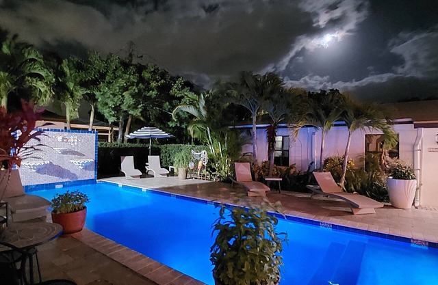 Monthly-Weekly Disc: Large 1BR, Walk to Ave & Beach, Beautiful, Salt Pool