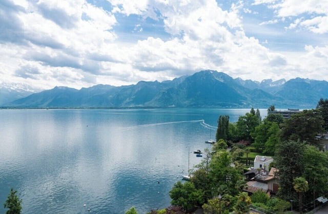 Montreux Lake View Apartments & SPA One-Bedroom C1.6