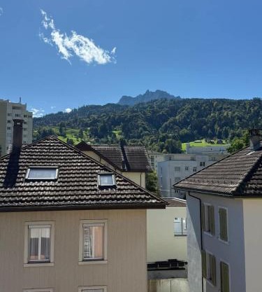Mount Pilatus view Apartment Lucerne with free parking & WIFI