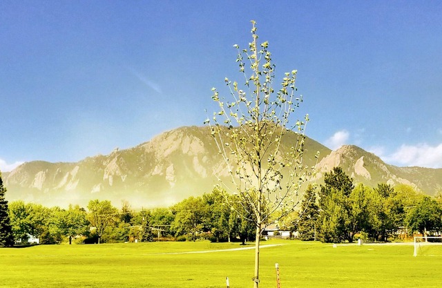 Mountain Access and close to CU Campus