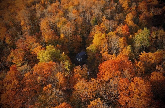 Mountain Chalet mins from Mt Snow Skiing/hiking