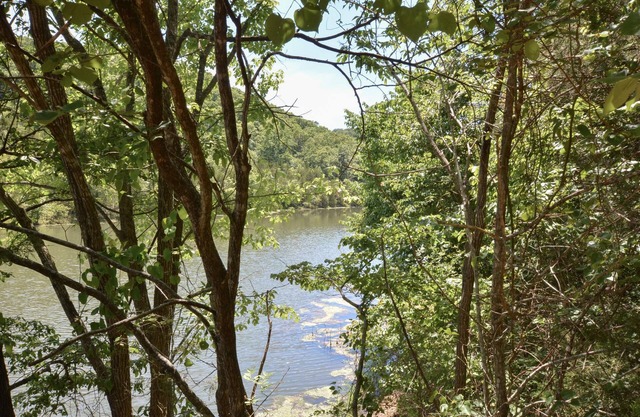 Mountain Getaway - So Close to SDC -2 Outdoor Pools - Hiking
