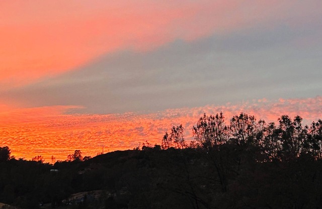 Mountain Top Room with a View in serene 10 Acre Lot Placerville