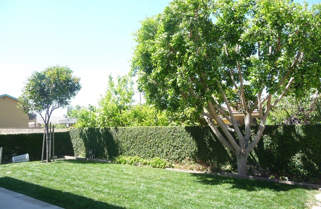 Mountain View - 3 bedrooms/2 baths back house DisneyLand