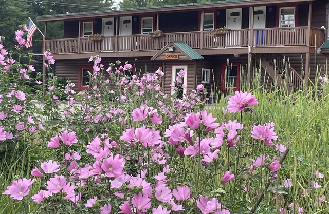 Mountain View Motel & Campground