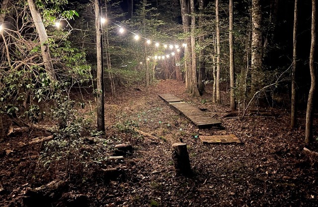 Mt. Laurel Hideaway. 10 min to Blue Ridge