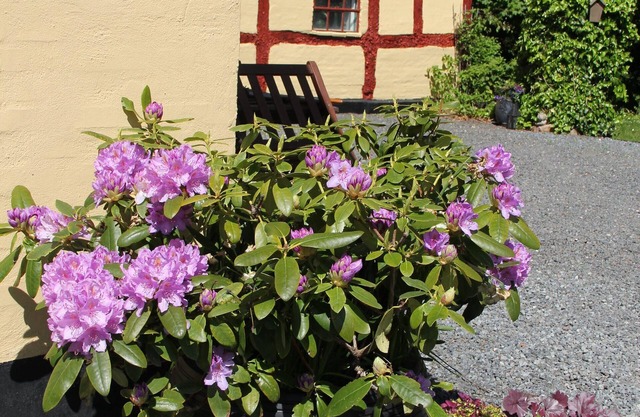 Munkebjerg Bed & Breakfast