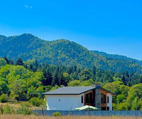 MV Cottages