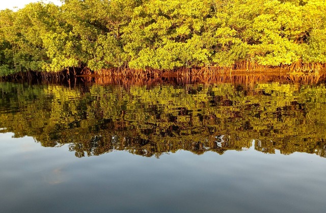 Myakka River Retreat