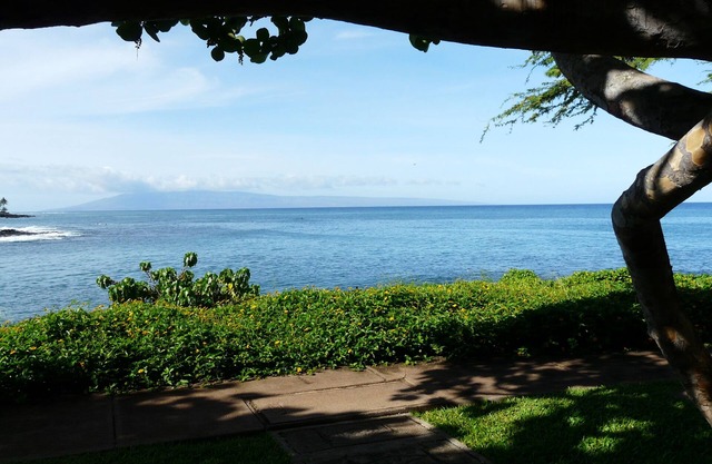 Napili Point A10 - A Piece of Paradise - Swim With Turtles Just Steps Away