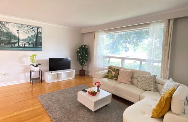 Naturally bright house in Totonto