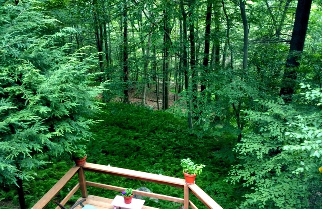 Nature Lovers' Sanctuary Yet Close to Amenities