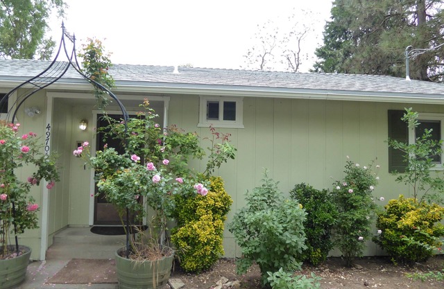 Nature's Neighborhood Bungalow - Adorable 10 miles to Yosemite