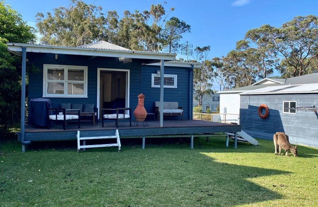 Nautilus in North Bendalong