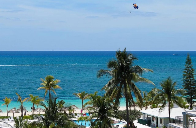 Near Port Lucaya 2 Attached Top Floor Studios w/2 Bed Oceanfront Bahama Views!