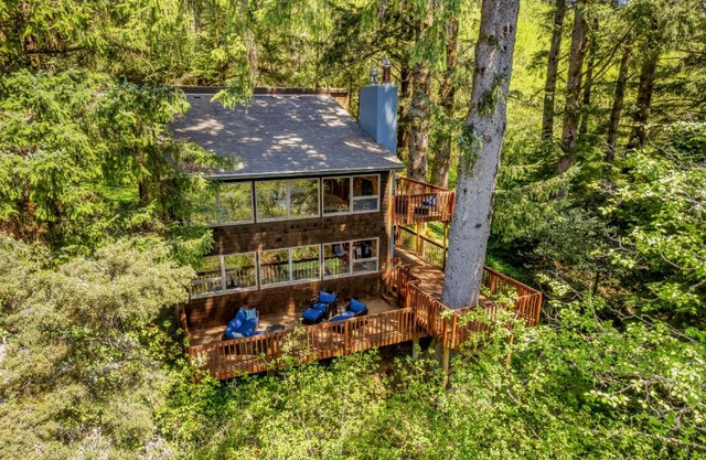 Nehalem Woods