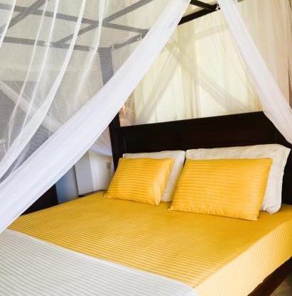 New Cinnamon Villa