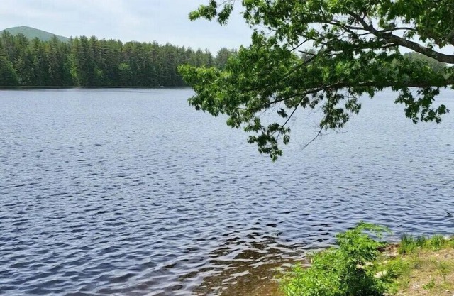 New Glen Lake Retreat! - Beautifully Updated Lakefront Home