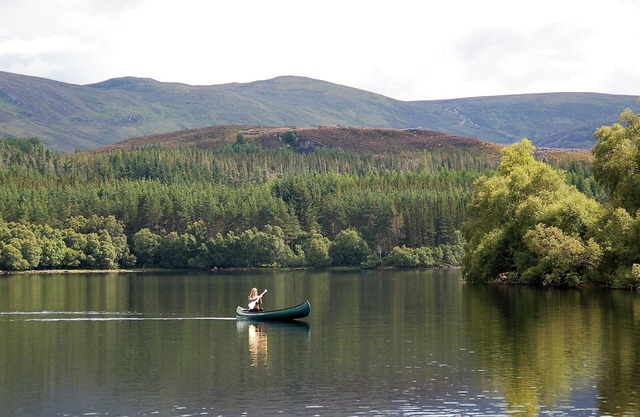 NEW LISTING! Highland Cottage overlooking Loch Knockie.
