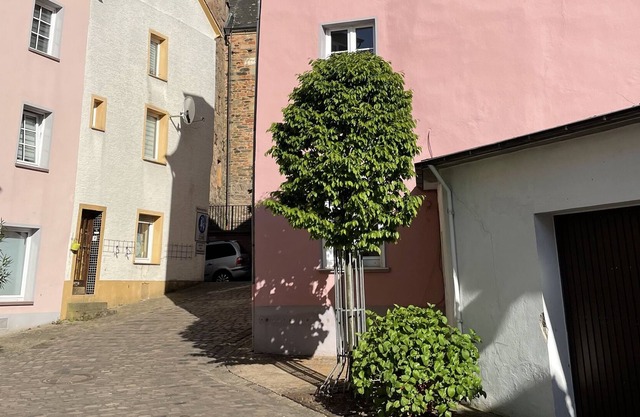 New on offer!Romantic & rustic holiday home in Saarburg's old town
