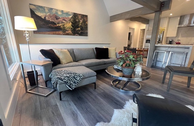 New rehab near gondola, walk everywhere, Fab fall in Aspen. Large 2BR 2 floors.