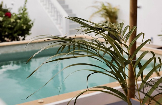 NEW Stijlvolle Privé Villa in de Populaire Wijk Jan Thiel, Volledig Kidsproof!