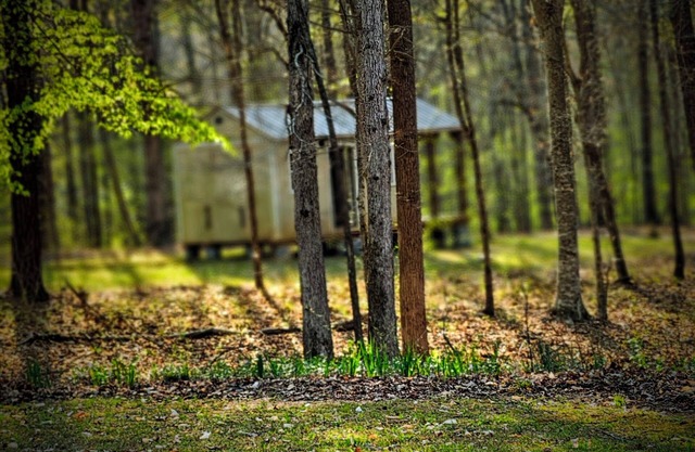 New Tiny House coming to Dirt Road Farms, pet-friendly & availble September 15th