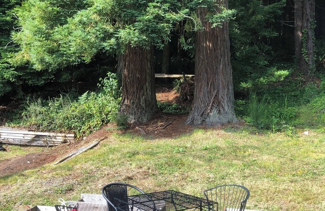 Newly listed home tucked in the redwoods.