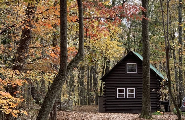 Newly remodeled log cabin near DeSoto State Park & Mentone