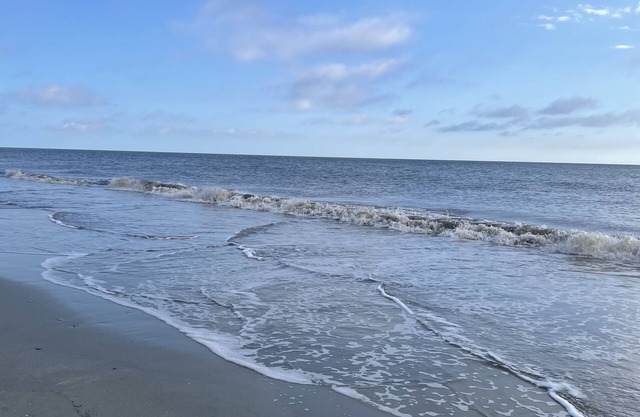 NEWLY RENOVATED Island Condo- All new kitchen, floors, upgrades and appliances