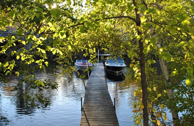 Newly Renovated & Centrally Located Curry Cottage on Squam Lake!