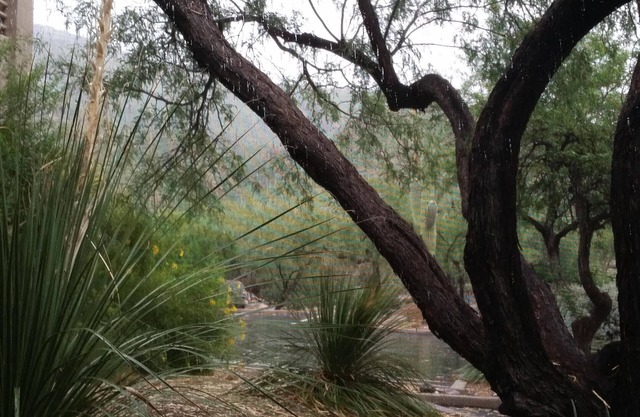 Newly updated comfort in the desert foothills. Perfect hiking area.