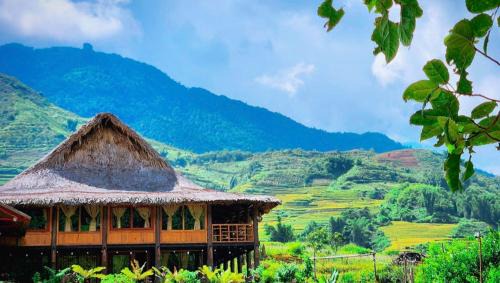 Ngũ Chỉ Sơn Trekking Sapa Homestay Local Experience