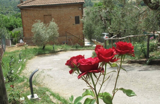 Nice apartment in a quiet area a stone's throw from the historic center