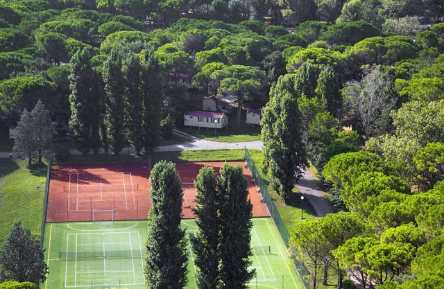 Nice apartment in villa for 6 guests with pool, WIFI, terrace, pets allowed and parking