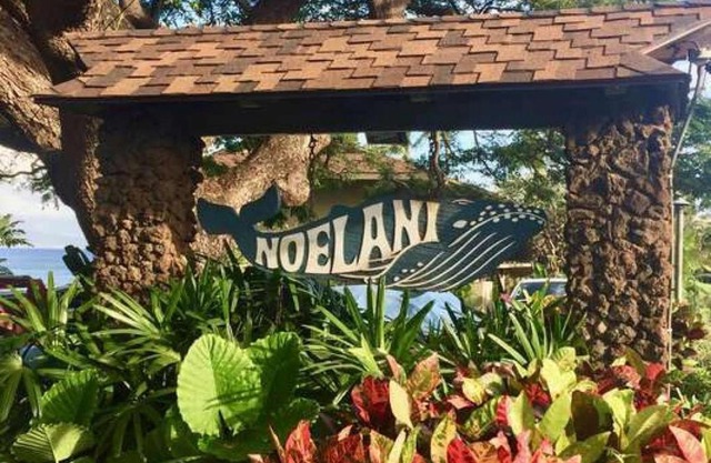 Noelani 205