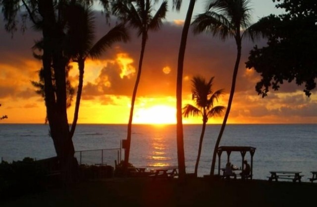 North Shore Beachfront Condominium 30 day rental period